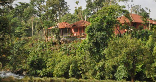Misty Coorg, Madikeri 4